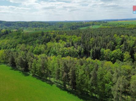 dji_fly_20250507_122732_426_1746614015644_photo_optimized.jpeg | Prodej - pozemek, les, 79 857 m²