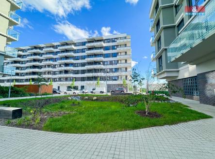 IMG_6526.jpg | Pronájem bytu, 2+kk, 57 m²