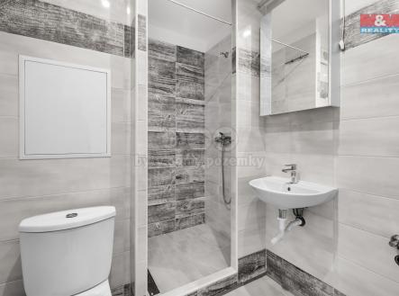 005.jpg | Pronájem bytu, 1+1, 33 m²