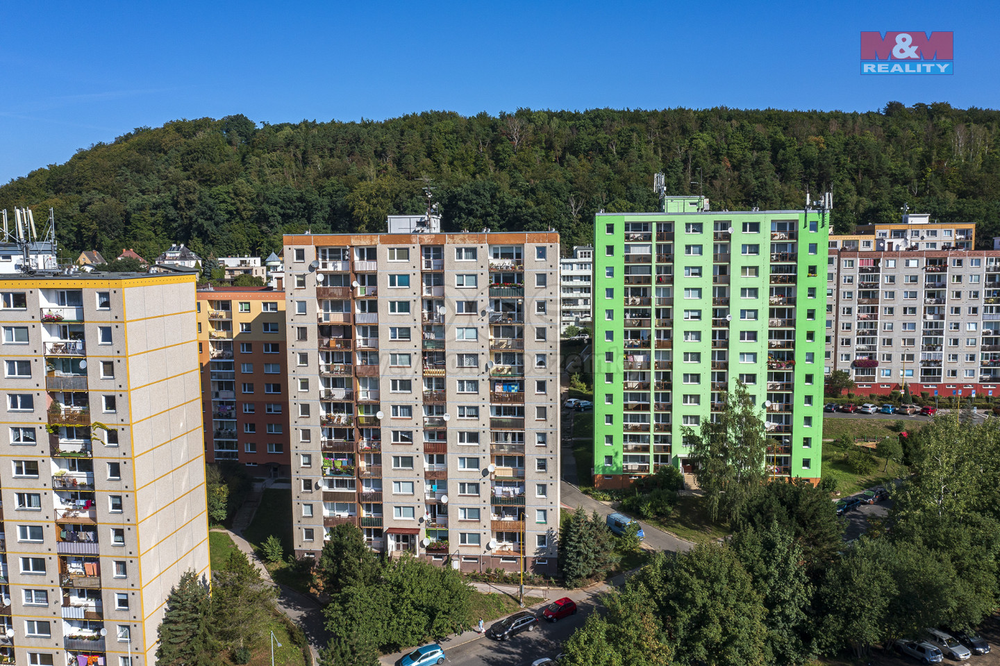 Dvor╠îa╠ükova 11_1.jpg