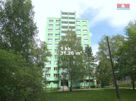 Petr-1kk.jpg | Prodej bytu, 1+kk, 31 m²