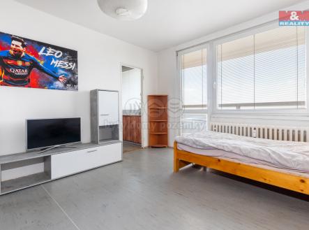 pok2.jpg | Prodej bytu, 1+1, 29 m²