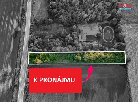 dji_fly_20230530_193350_120_1685468045976_photo-Edit.jpg | Pronájem - pozemek, zahrada, 3 761 m²
