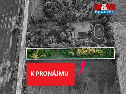 dji_fly_20230530_193350_120_1685468045976_photo-Edit.jpg | Pronájem - pozemek, zahrada, 3 761 m²