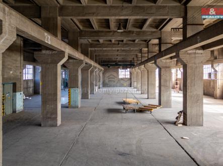 Hala Vitkovice Benicek-3.jpg | Pronájem - skladovací prostor, 12 000 m²