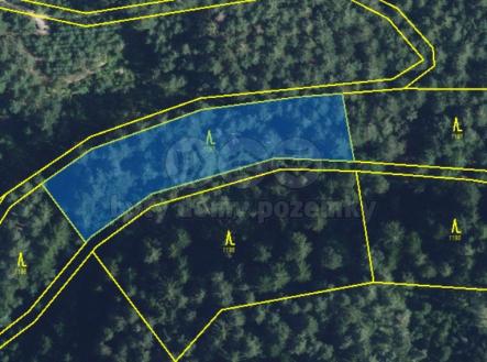 obr 2.jpg | Prodej - pozemek, les, 5 021 m²