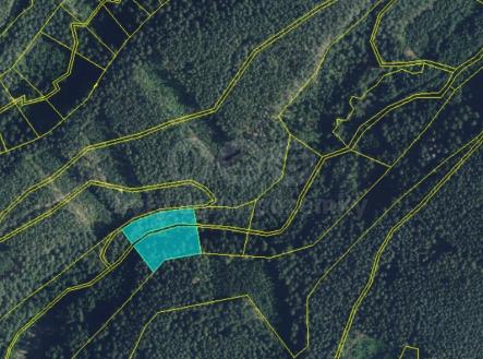 obr 3.jpg | Prodej - pozemek, les, 5 021 m²