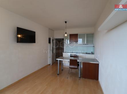 IMG_0652.jpg | Pronájem bytu, 1+kk, 39 m²