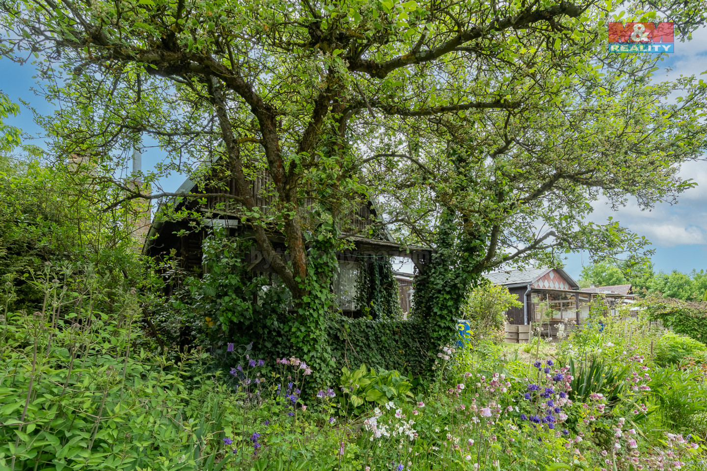 A7304656-Edit.jpg