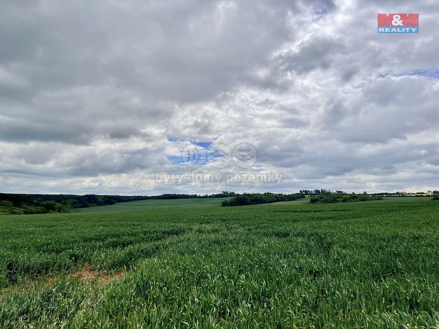 image_68835EA3-6ABE-4D4B-8780-D666A37F297B_1747658946.jpeg