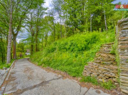 43_DSC00949_43.jpg | Prodej - pozemek, zahrada, 188 m²