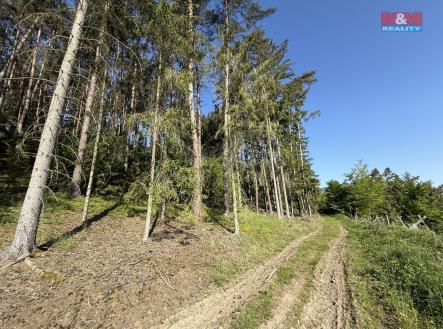 IMG_0529.jpeg | Prodej - pozemek, les, 23 184 m²