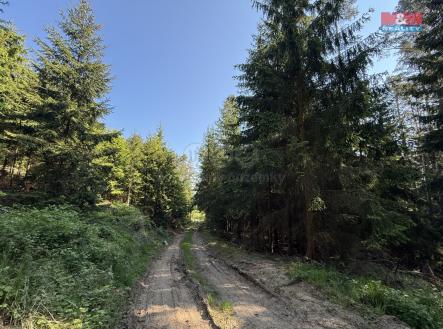 IMG_0536.jpeg | Prodej - pozemek, les, 23 184 m²