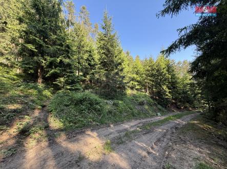 IMG_0535.jpeg | Prodej - pozemek, les, 23 184 m²