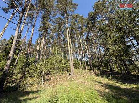 IMG_0534.jpeg | Prodej - pozemek, les, 23 184 m²