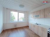 Pronájem bytu, 1+1, 41 m²