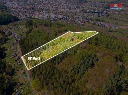 lesss.jpg | Prodej - pozemek, les, 3 116 m²