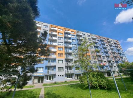 20250520_144557.jpg | Pronájem bytu, 1+kk, 20 m²