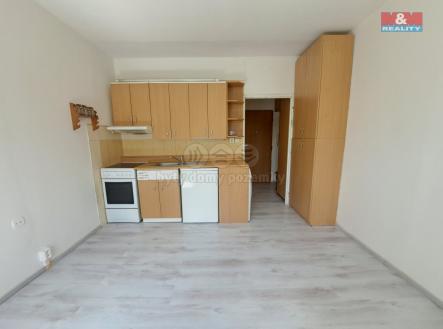 20250520_144135.jpg | Pronájem bytu, 1+kk, 20 m²