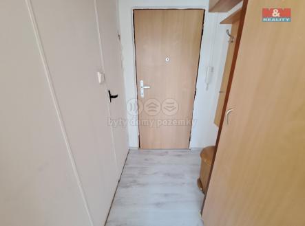 20250520_144057.jpg | Pronájem bytu, 1+kk, 20 m²