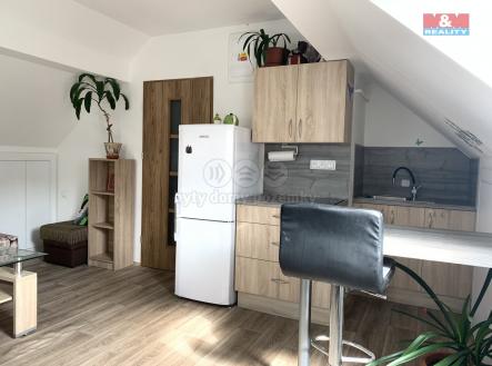 IMG_7129.jpeg | Pronájem bytu, 1+kk, 24 m²