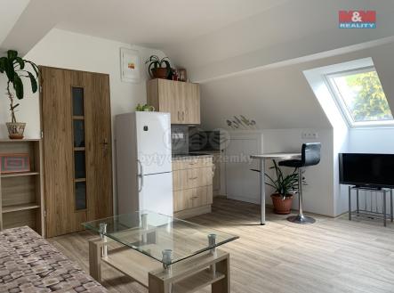 IMG_7135.jpeg | Pronájem bytu, 1+kk, 24 m²