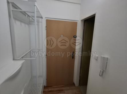 20250515_102103.jpg | Pronájem bytu, 1+kk, 21 m²
