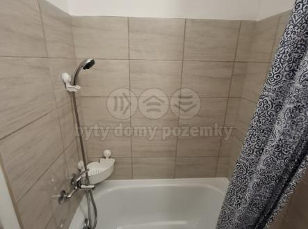 20250515_102015.jpg | Pronájem bytu, 1+kk, 21 m²
