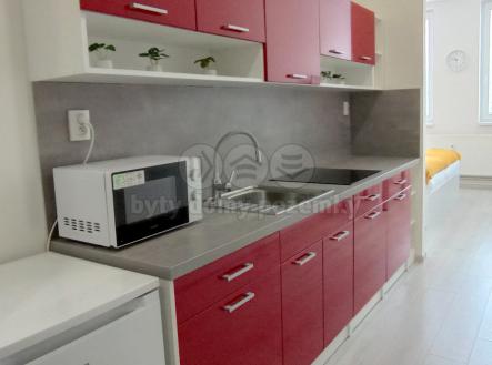 IMG_20250516_104815.jpg | Pronájem bytu, 1+kk, 29 m²