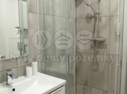 IMG_20250516_104042.jpg | Pronájem bytu, 1+kk, 29 m²