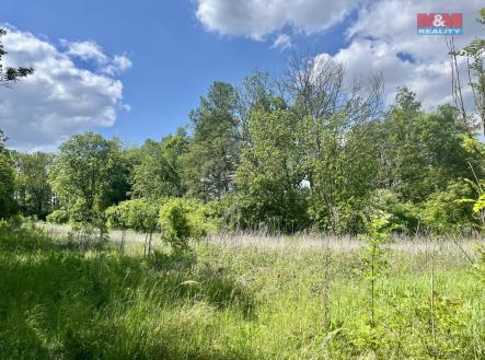 image_6BDBF852-63B9-4D37-93AF-C5A65CBD8FCB_1748183505.jpeg | Prodej - pozemek, zemědělská půda, 19 910 m²