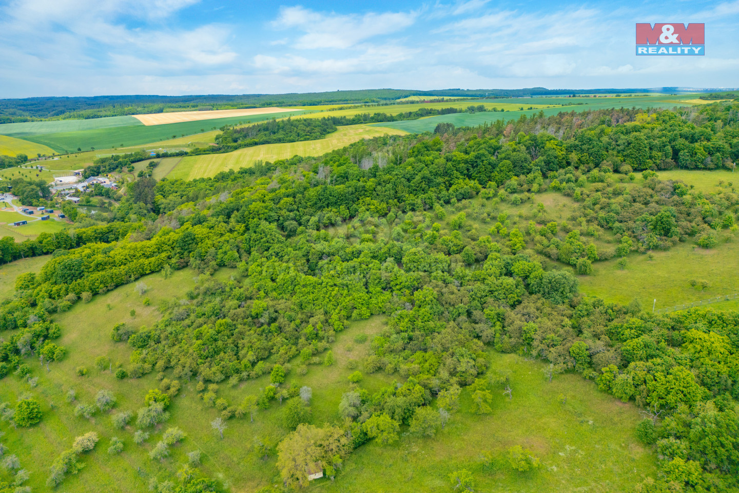 DJI_0606.jpg