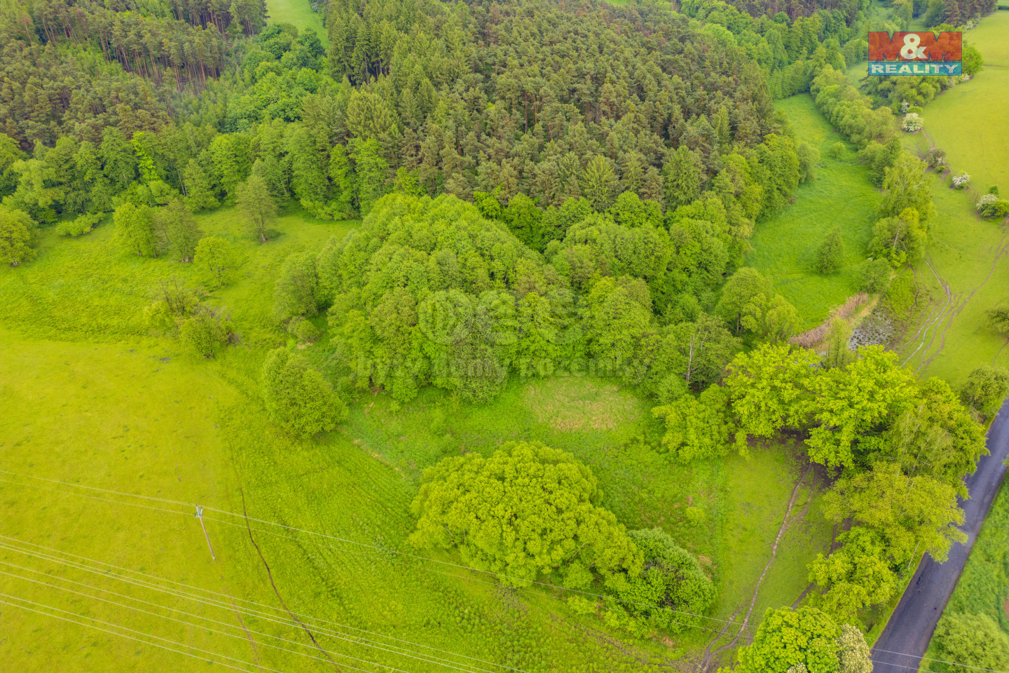 DJI_0613.jpg