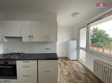IMG_5484.jpg | Pronájem bytu, 1+1, 43 m²