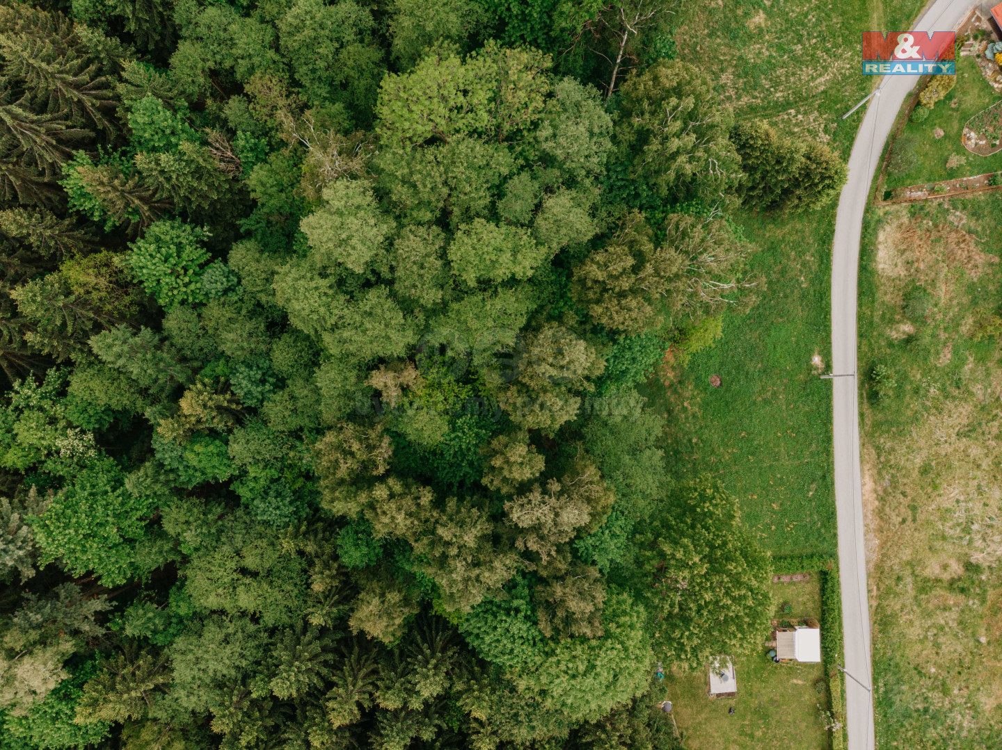 DJI_0161.jpg