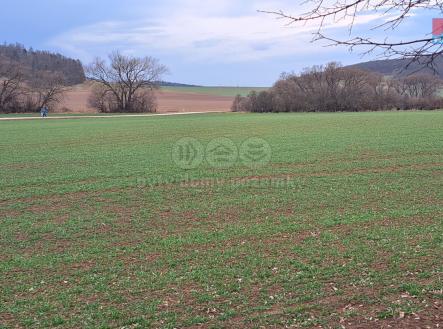 20250311_164946.jpg | Prodej - pozemek, zemědělská půda, 4 185 m²