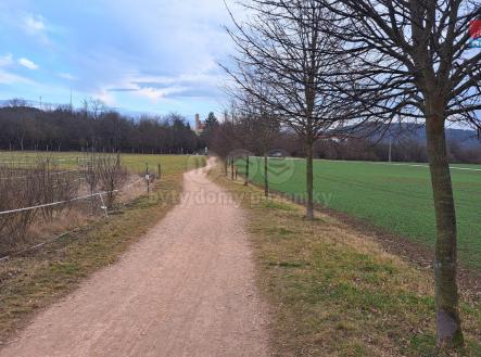20250311_164834.jpg | Prodej - pozemek, zemědělská půda, 4 185 m²