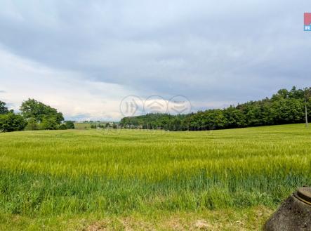 PXL_20250521_124421235~2.jpg | Prodej - pozemek, zemědělská půda, 32 652 m²