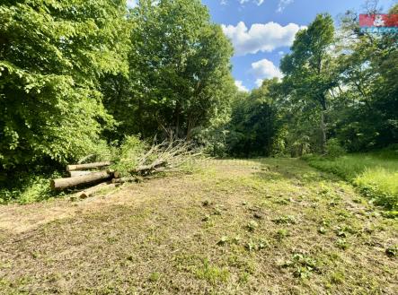 IMG_2696.jpeg | Prodej - pozemek, zahrada, 2 923 m²