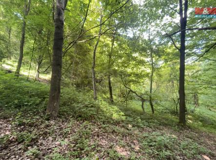 IMG_2699.jpeg | Prodej - pozemek, zahrada, 2 923 m²