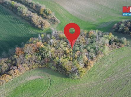Kočí Z les 3.jpeg | Prodej - pozemek, les, 5 803 m²