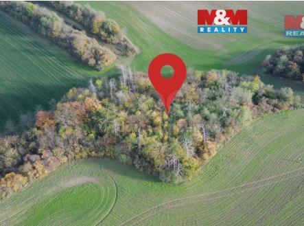 Kočí Z les 3.jpeg | Prodej - pozemek, les, 5 803 m²