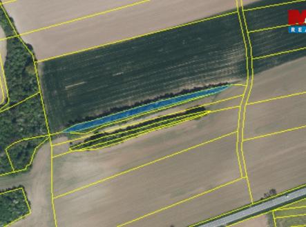 Kočí Z les 4.jpg | Prodej - pozemek, les, 5 803 m²