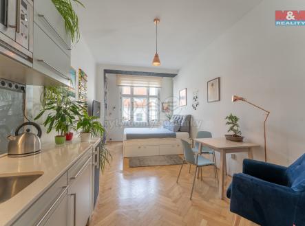 007.jpg | Pronájem bytu, 1+kk, 27 m²