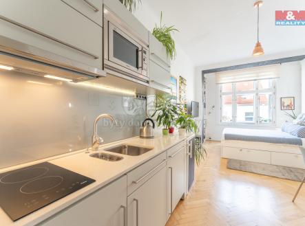 006.jpg | Pronájem bytu, 1+kk, 27 m²