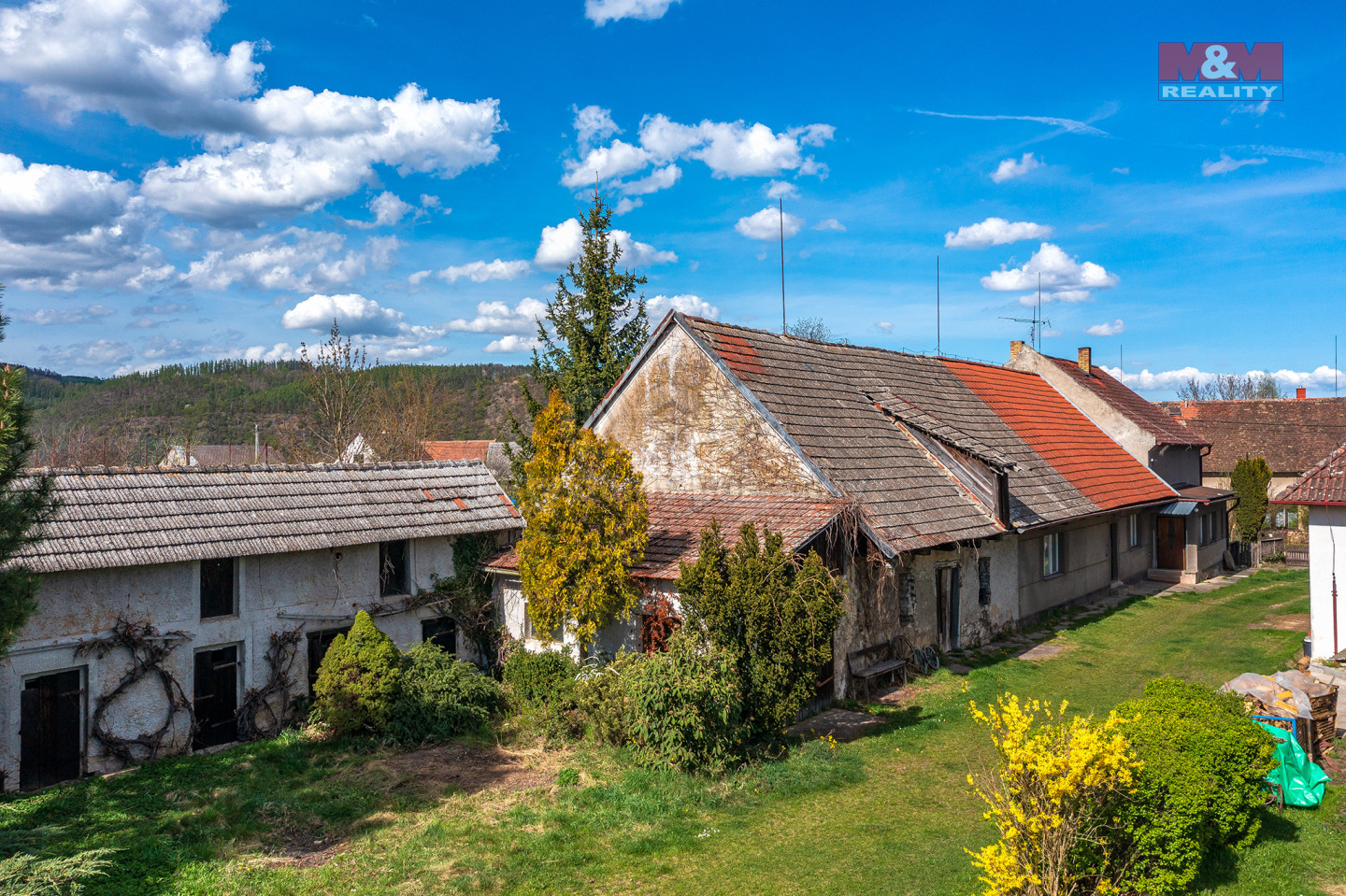 Branov 11_15.jpg