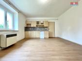 Pronájem bytu, 1+kk, 25 m²