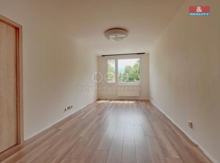 IMG_3376 (1).jpg | Pronájem bytu, 2+kk, 55 m²
