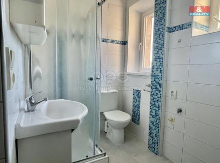 IMG_3564.jpg | Pronájem bytu, 2+1, 45 m²