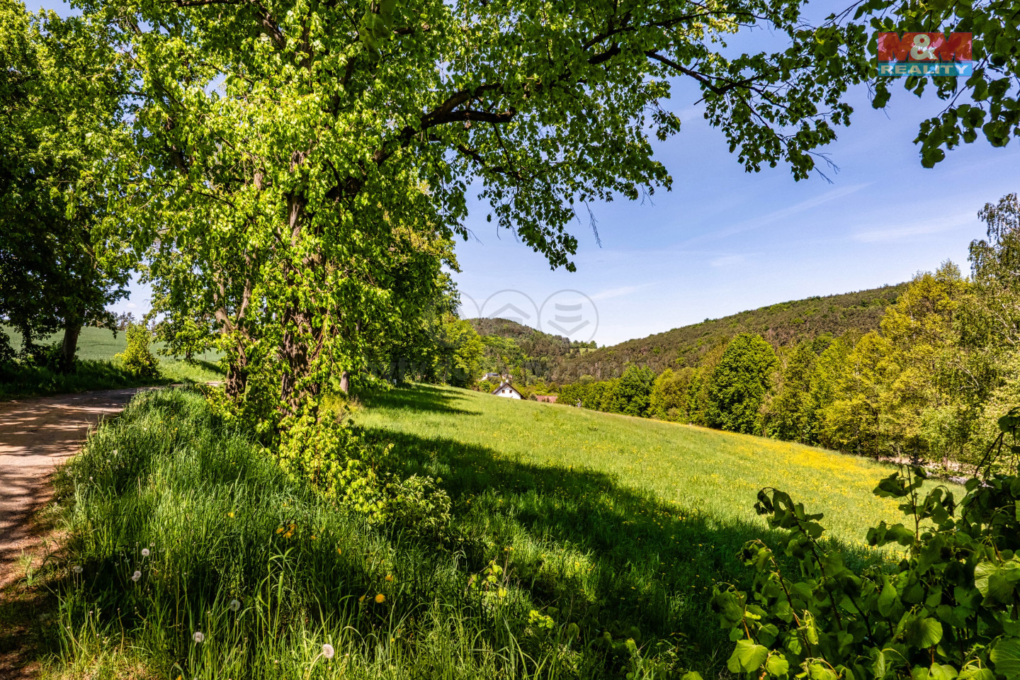 DJI_20250510120355_0193_D-HDR.jpeg